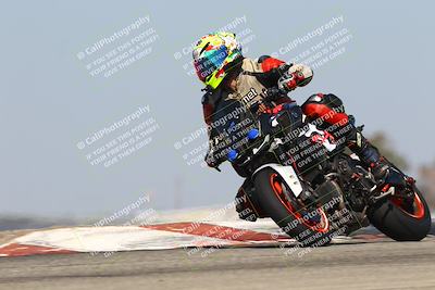 media/Oct-06-2025-2WTD (Mon) [[90522c3a0b]]/B Group/1120am (Grapevine)/